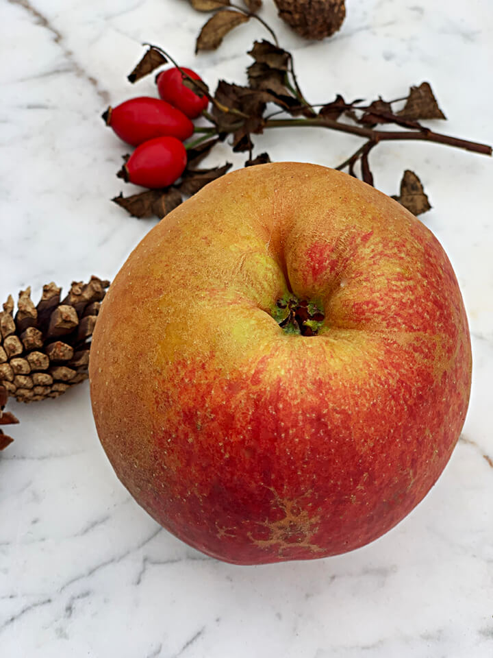 hideby-schlei-ferienwohnung-garten-natur-herbst-ernte-apfel-boskop